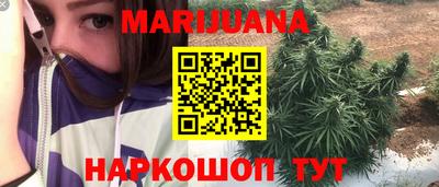 крисы Краснодар