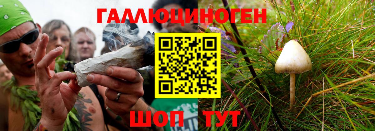 Псилоцибиновые грибы прущие грибы  Вход с VPN  Элиста 