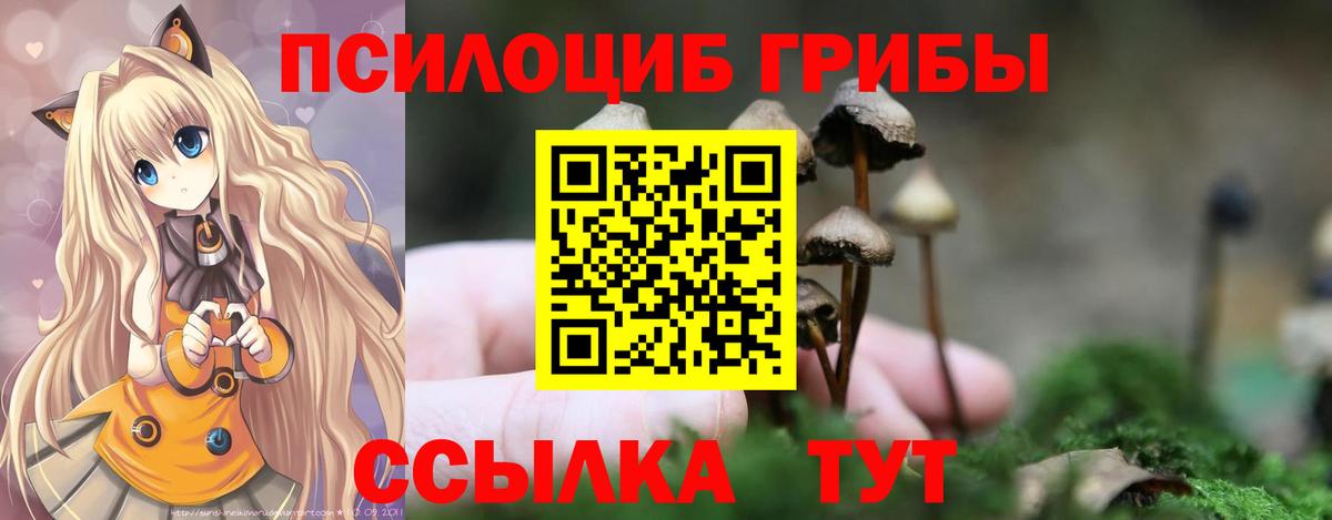 Псилоцибиновые грибы мухоморы Элиста